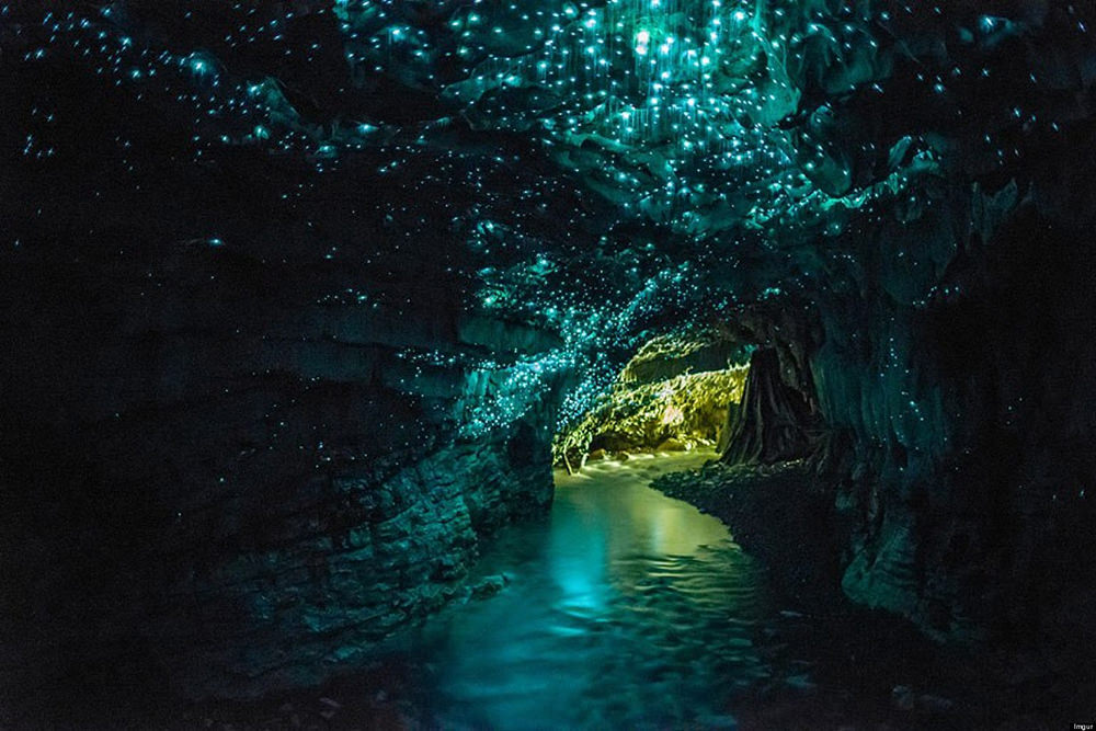 Cuevas de Waitomo Glowworm (Nueva Zelanda)