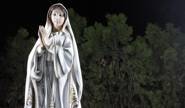 ¿Qué enseña la Iglesia sobre María? – Explicado por un seminarista
