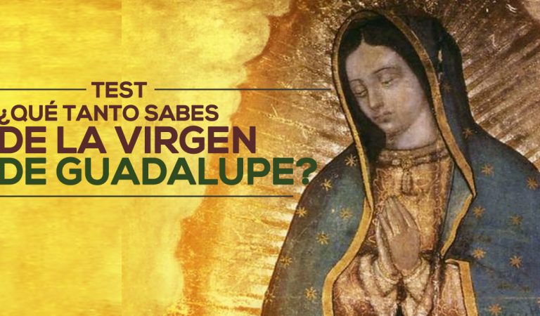 Test: ¿Cuánto sabes sobre la imagen de  la Virgen de Guadalupe?