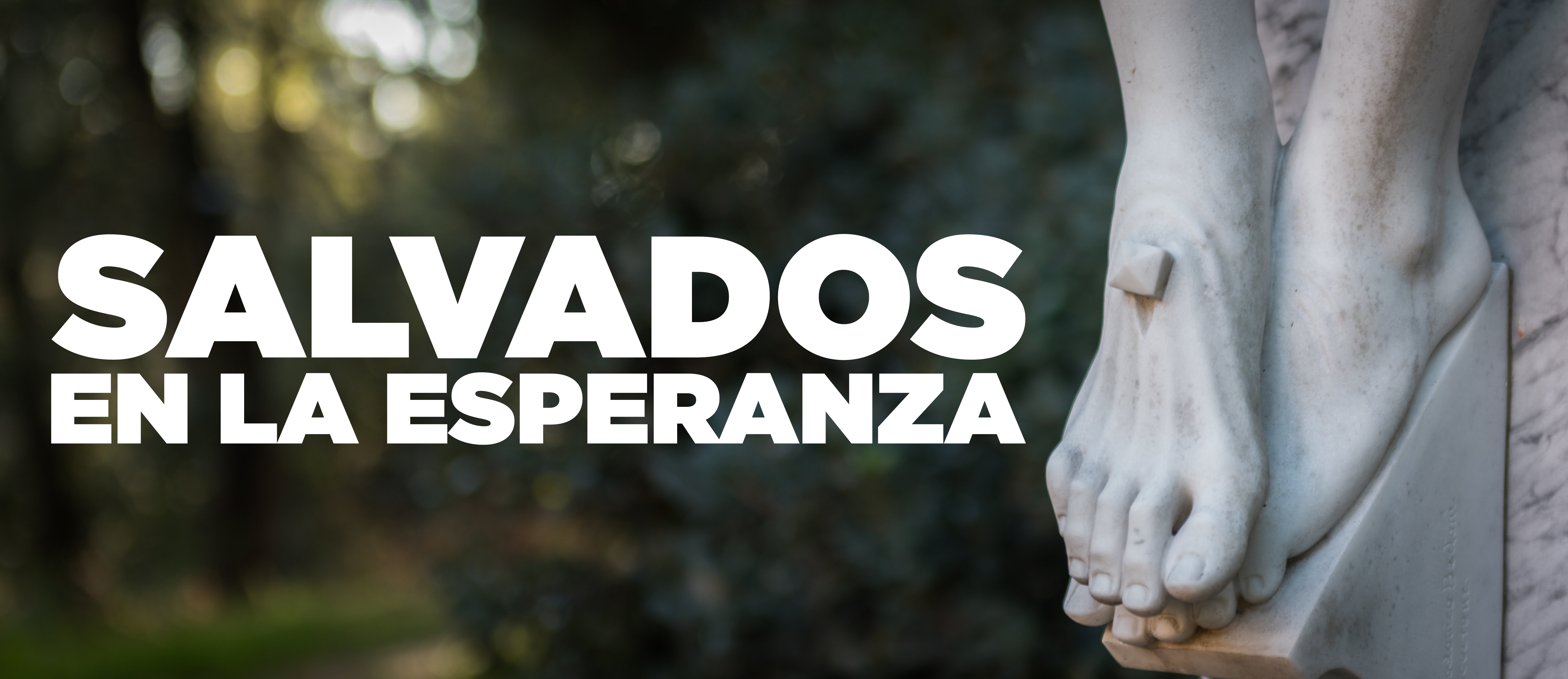 Salvados En La Esperanza Catoliscopio