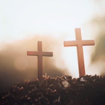 Salvados En La Esperanza Catoliscopio